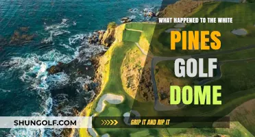 The Fall of White Pines: Uncovering the Golf Dome's Fate