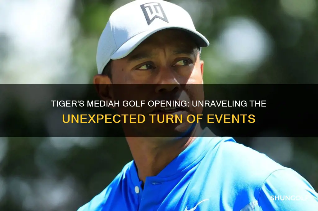 what happened to tiger at the mediah golf opening