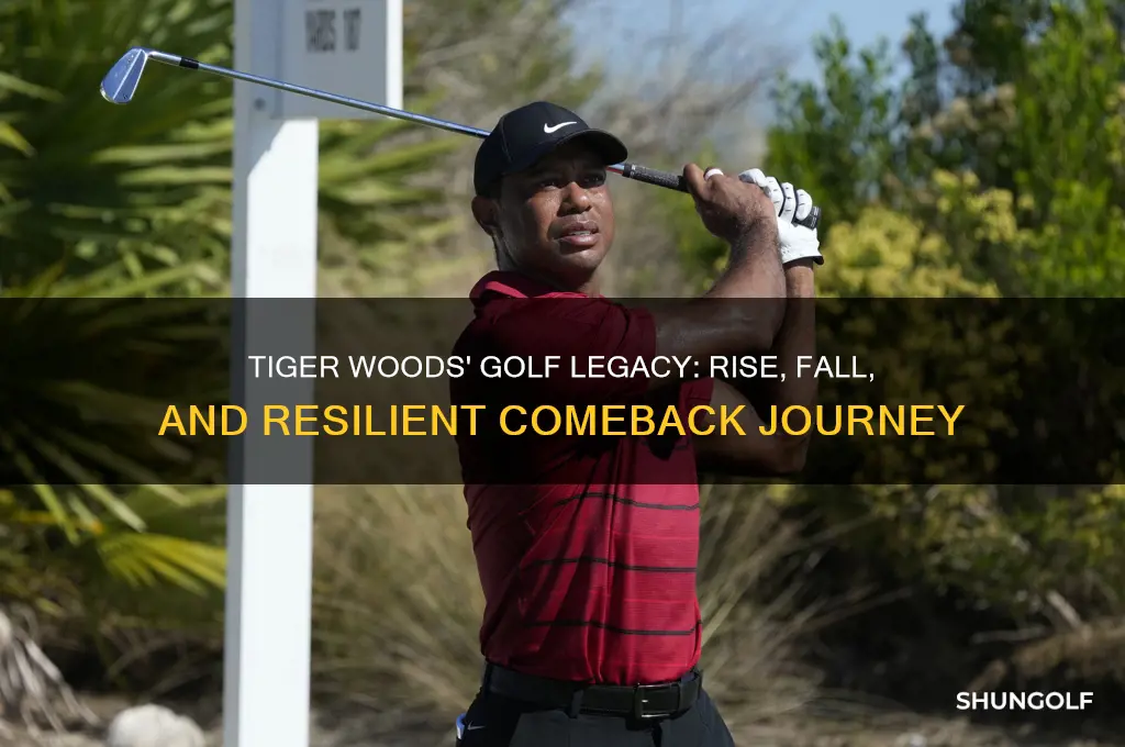 what happened to tiger woods golf