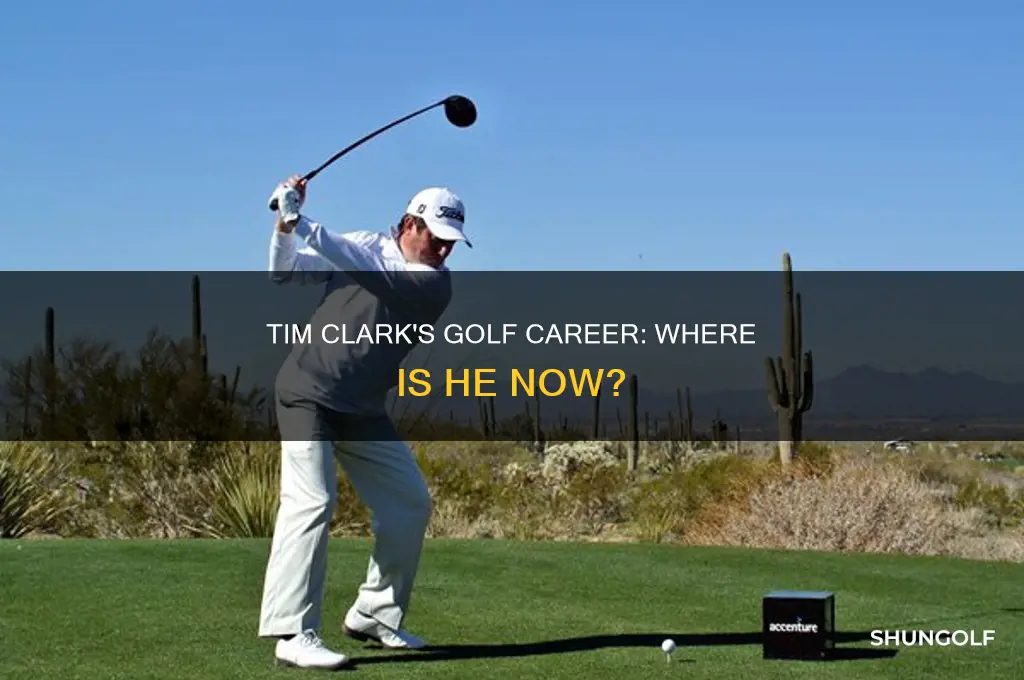 what happened to tim clark the golfer