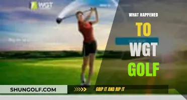 What Happened to WGT Golf: Decline and Future Prospects