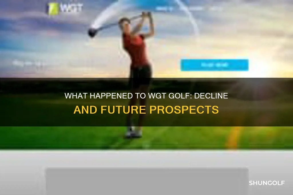 what happened to wgt golf