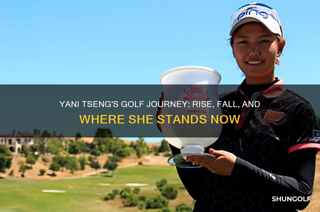 what happened to yani tseng the golfer