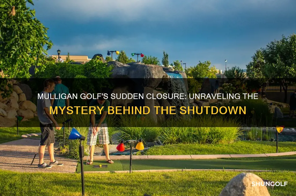 what happened with mulligan golf
