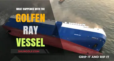 Golden Ray Vessel Capsizing: Causes, Aftermath, and Environmental Impact