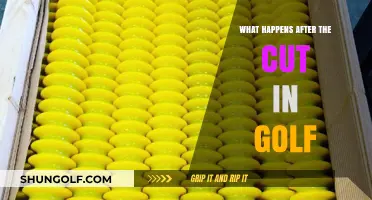 Golf's Cut Aftermath: Strategies, Survival, and Scoring for Success