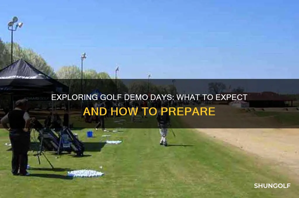 what happens at a golf demo day