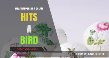 Golf Ball Meets Feather: Consequences of Hitting a Bird on the Course