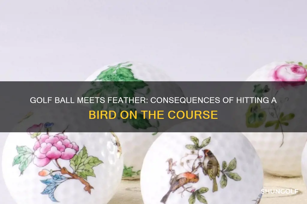 what happens if a golfer hits a bird