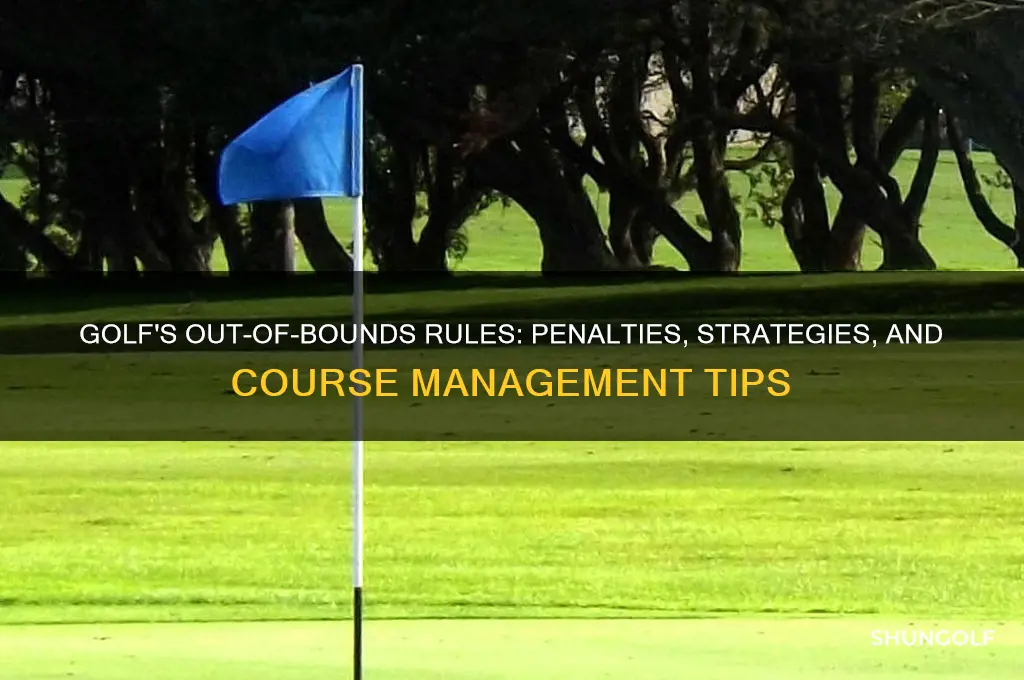 what happens if you go out of bounds in golf
