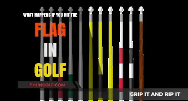 Golf's Flagstick Rules: Consequences of Hitting the Pin Explained