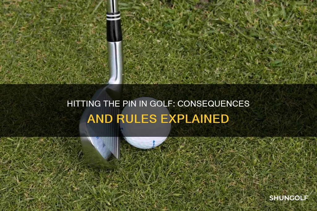what happens if you hit the pin in golf