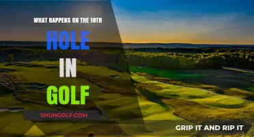 The Final Challenge: Unraveling the Drama of Golf's 18th Hole