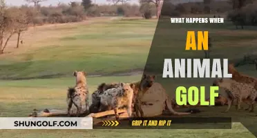 Animal Golf Adventures: Unexpected Outcomes When Wildlife Meets Fairways