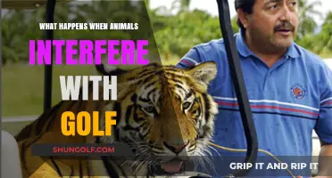 Golf Course Wildlife Encounters: When Animals Disrupt the Perfect Swing