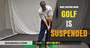 Golf Suspended: Impact on Players, Tournaments, and the Sport's Future