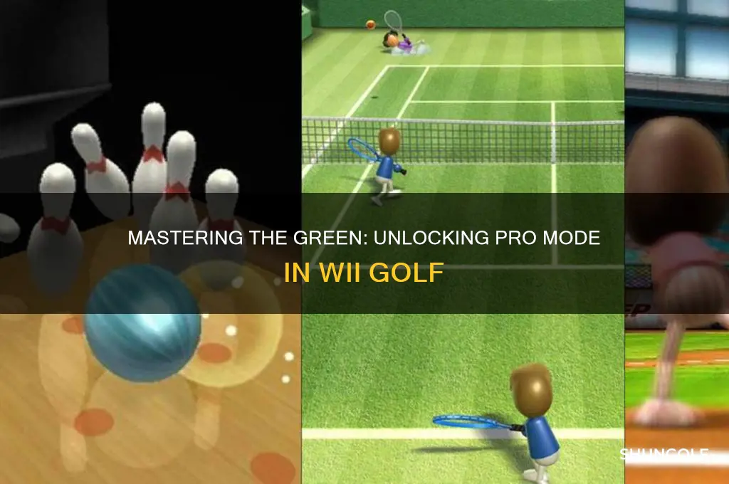 what happens when you go pro in wii golf