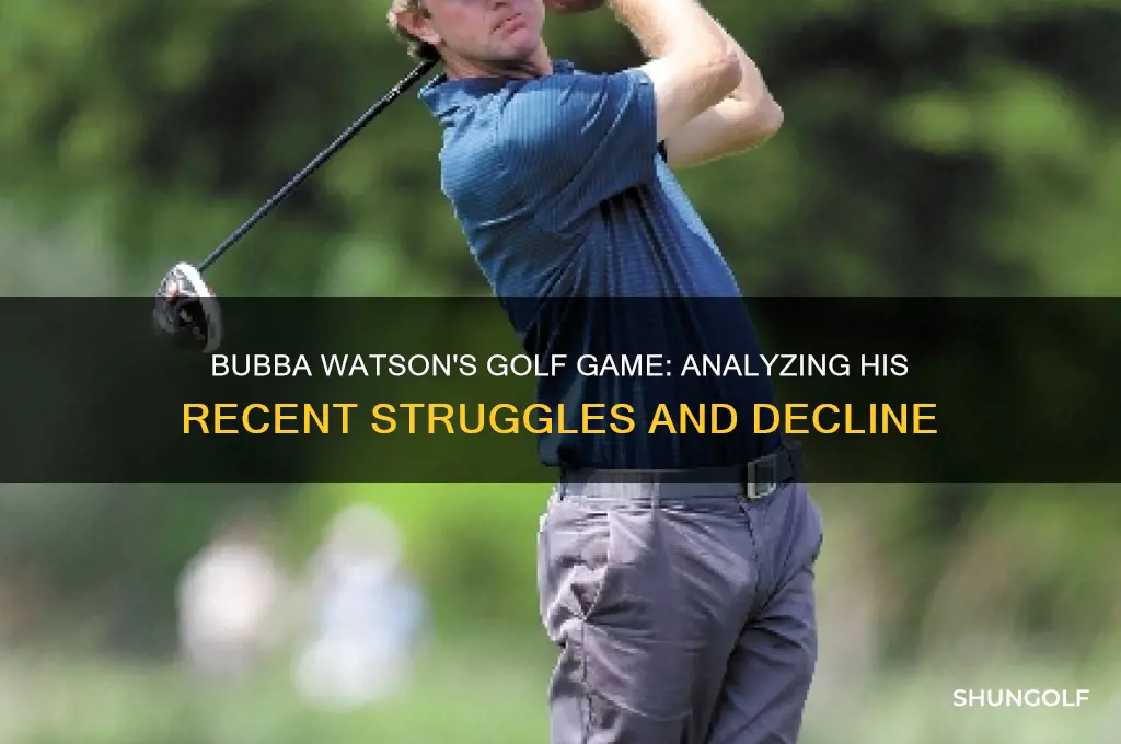 what has happened to bubba watson