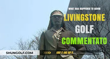 Where is David Livingstone Now? Golf Commentator's Sudden Disappearance Explained