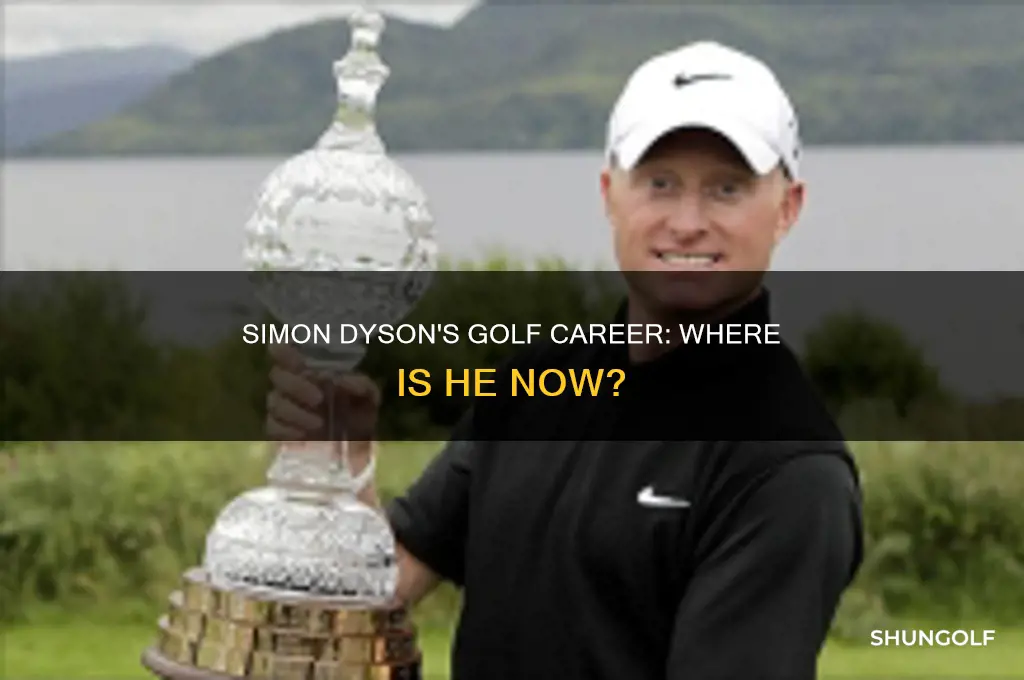what has happened to golfer simon dyson
