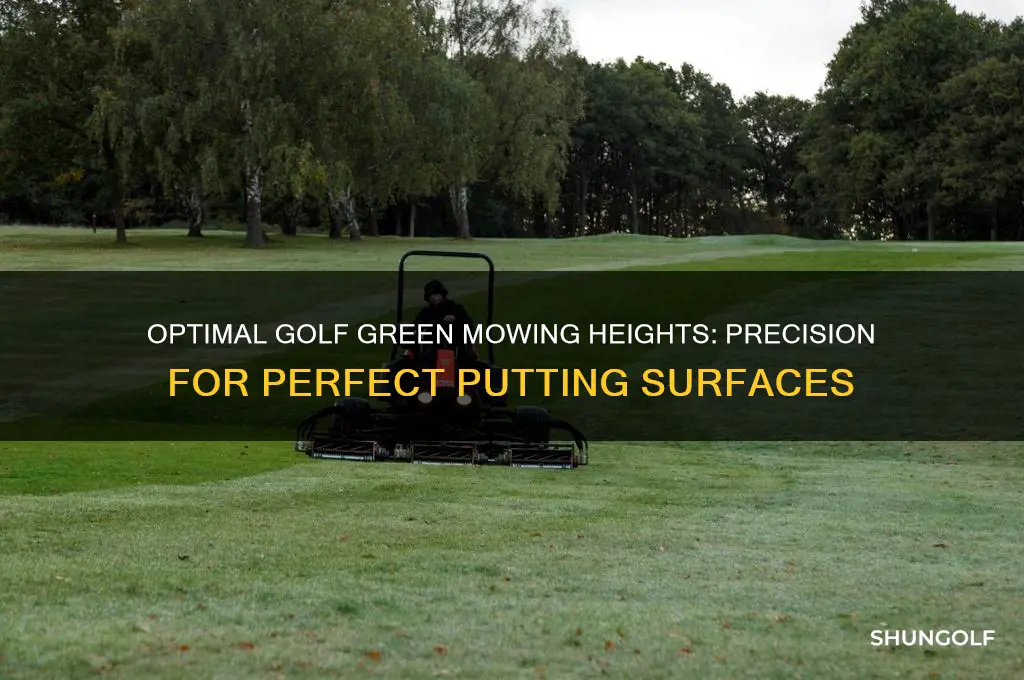 what height are golf greens cut at