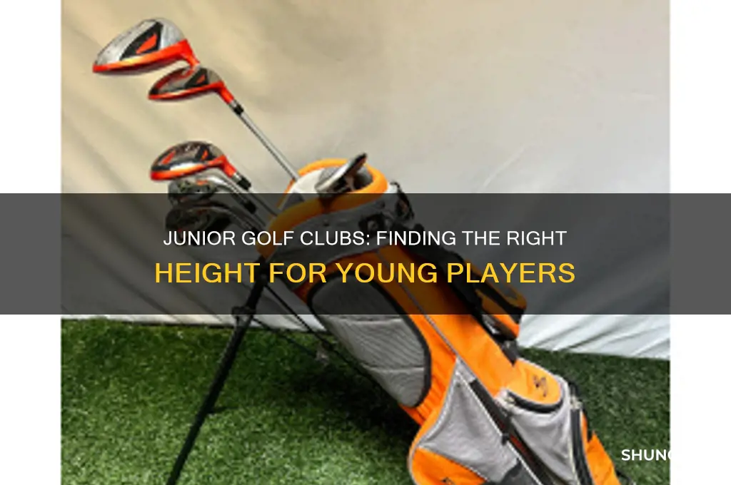 what height are junior golf clubs for
