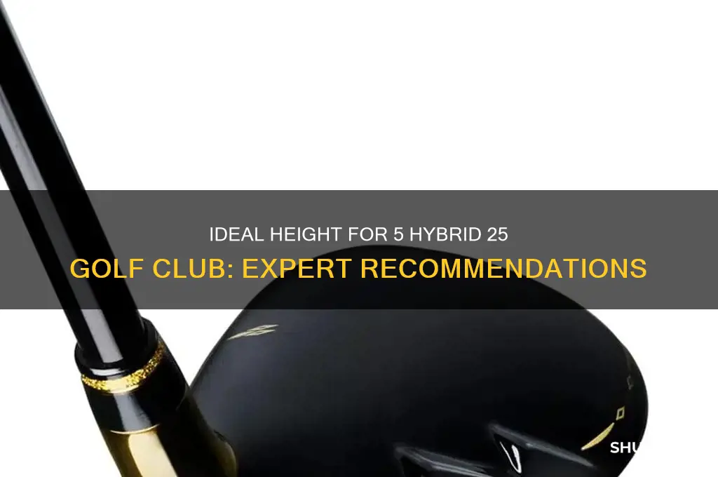 what height is needed for 5 hybrid 25 golf club