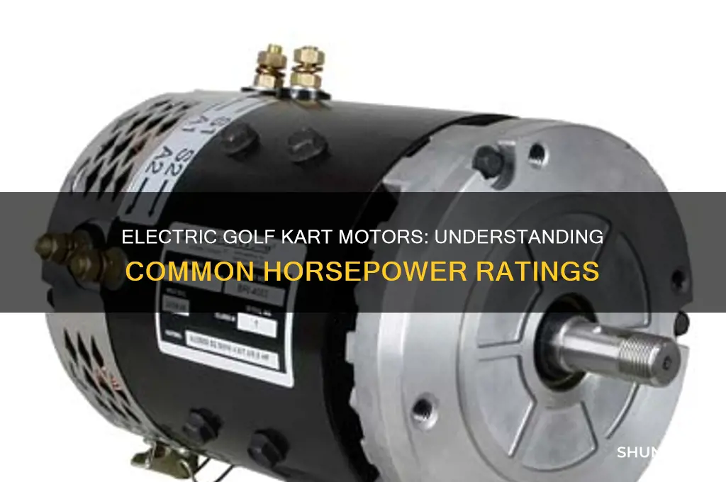 what horse power rating is most electric golf kart motors
