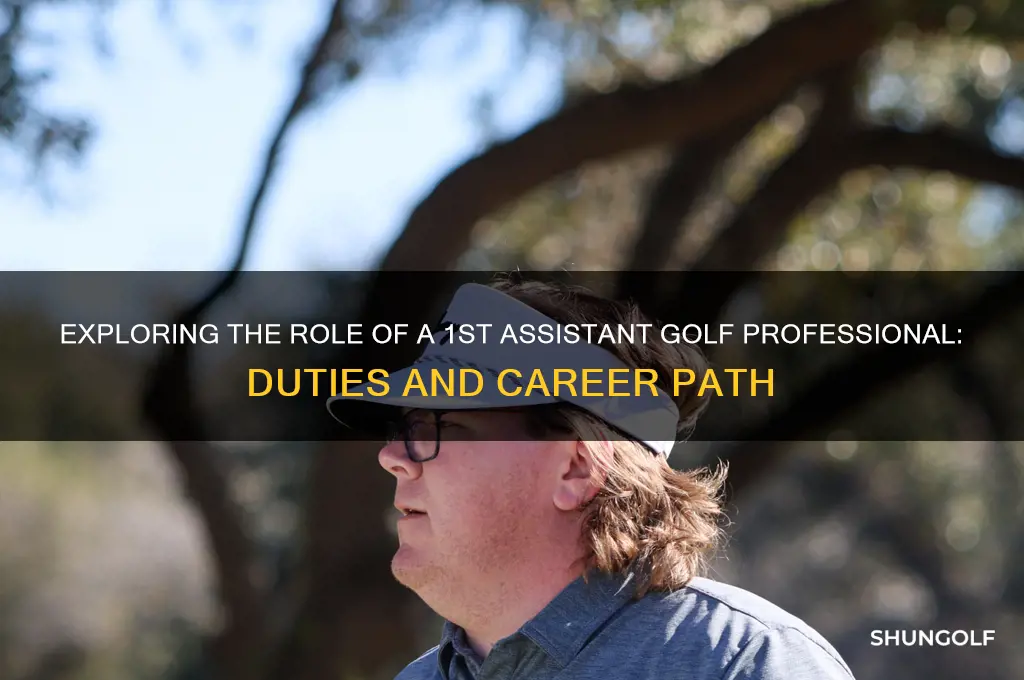what i a 1st assistant job golf professional