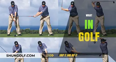 Exploring the Basics: What in Golf Every Beginner Should Know