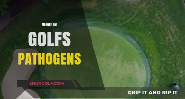 Understanding Golf Course Pathogens: Threats, Prevention, and Turf Management