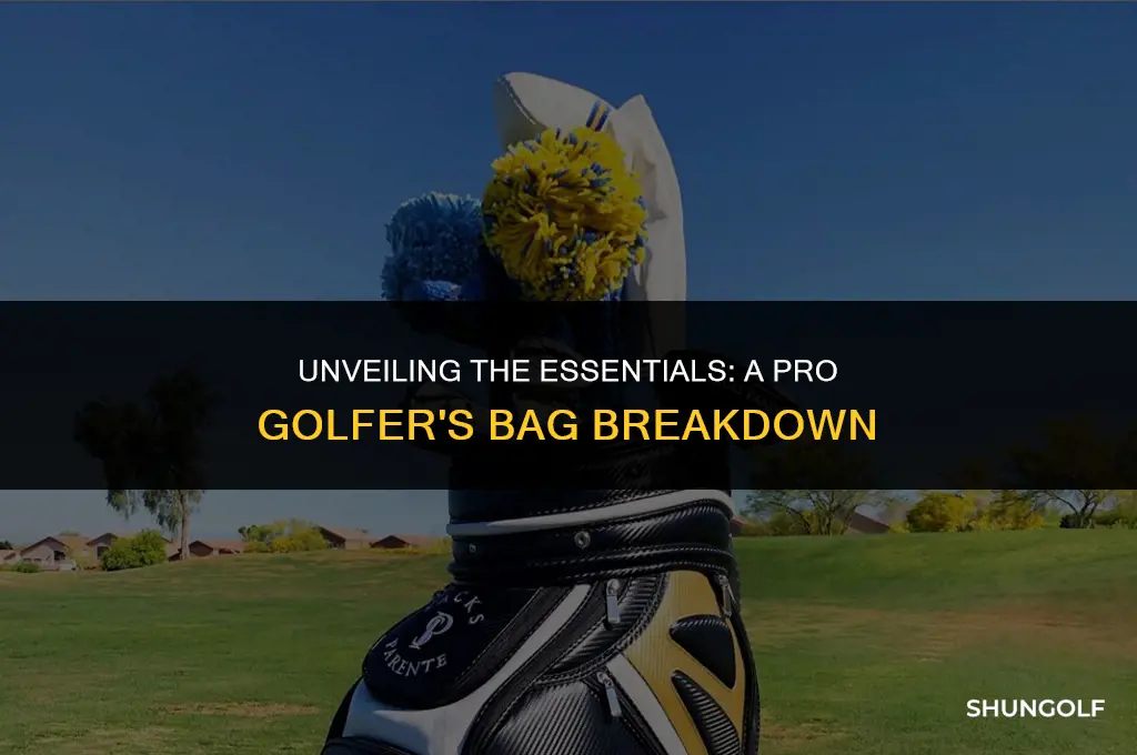 what in pro golf bag