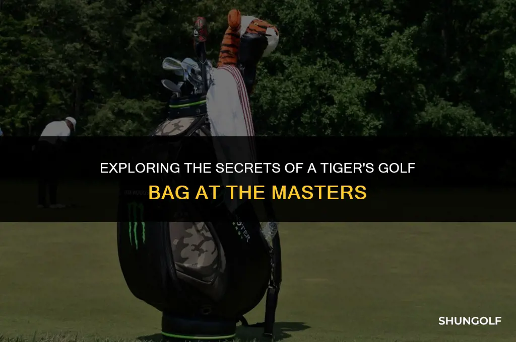 what in tigers golf bag masters