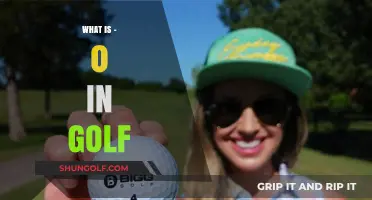 Understanding the Meaning of -0 in Golf: A Beginner's Guide