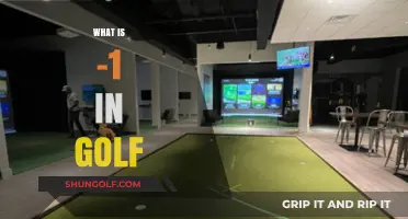 Understanding the Meaning of -1 in Golf: A Beginner's Guide