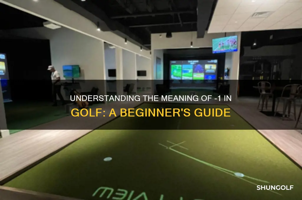 what is -1 in golf