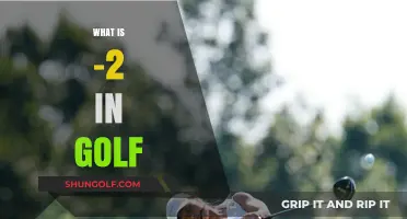 Understanding the Meaning of a Double Bogey in Golf