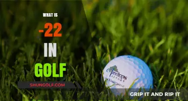 Understanding the Meaning of -22 in Golf: A Comprehensive Guide