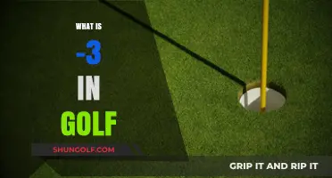 Understanding the Albatross: What Does -3 Mean in Golf?