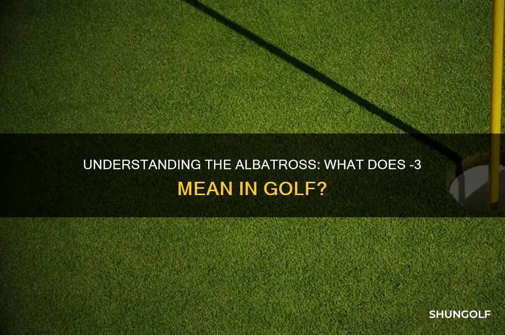 what is -3 in golf