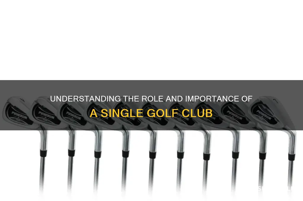 what is 1 golf clubs