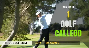 Understanding the Solo Golf Game: What is 1-on-1 Golf Called?