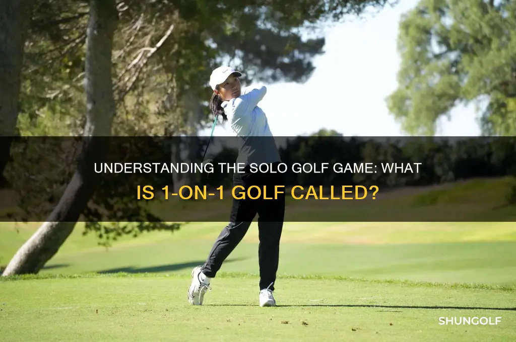 what is 1 on 1 golf calledd