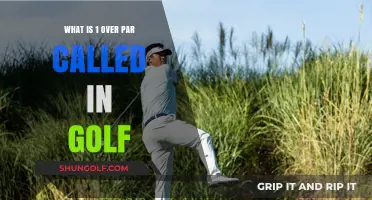 Understanding Golf's Bogey: What Does 1 Over Par Mean?