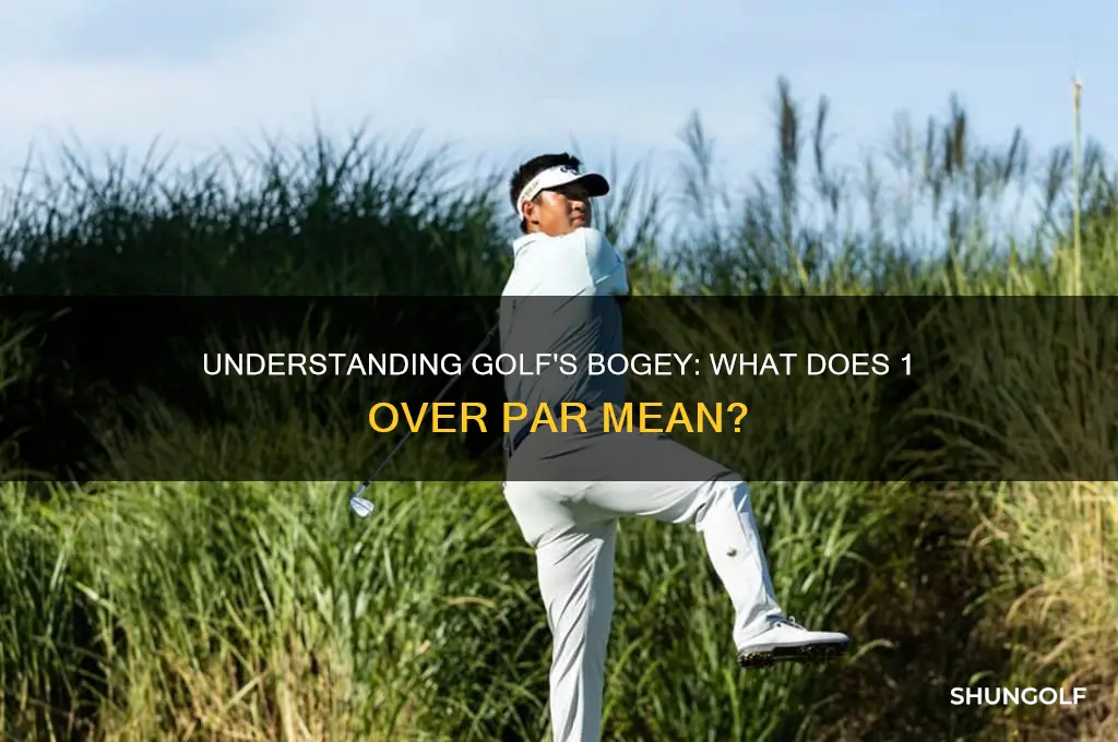 what is 1 over par called in golf