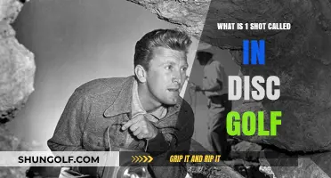 Ace in the Hole: Mastering the One-Shot Wonder in Disc Golf