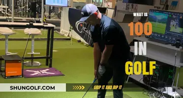 Understanding the Perfect Golf Score: What Does 100 Mean?