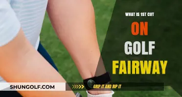 Understanding the First Cut: Golf Fairway Basics and Maintenance Tips