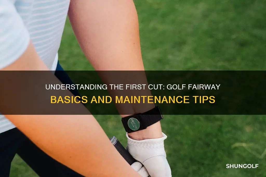 what is 1st cut on golf fairway