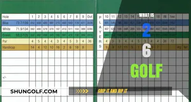 Understanding the 2-6 Golf Scoring System: A Beginner's Guide